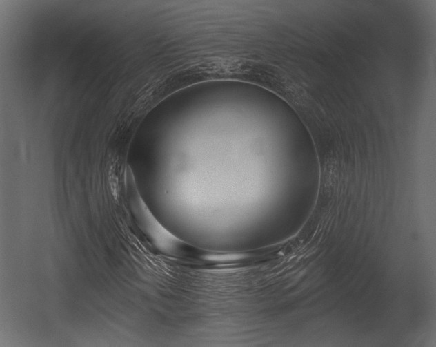 X0000054441202200508011420
