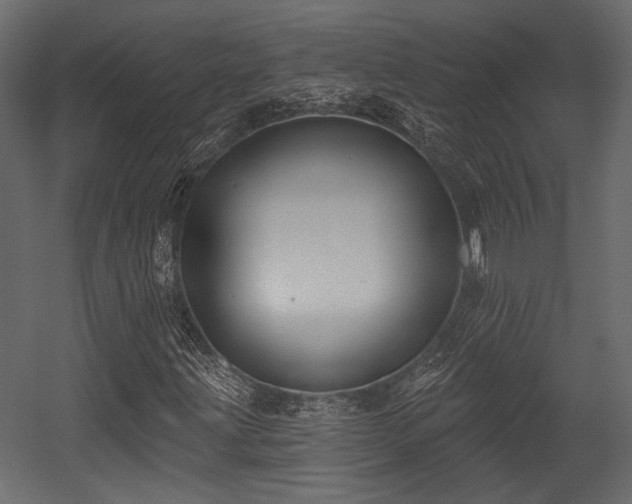 X0000054441203200508011420