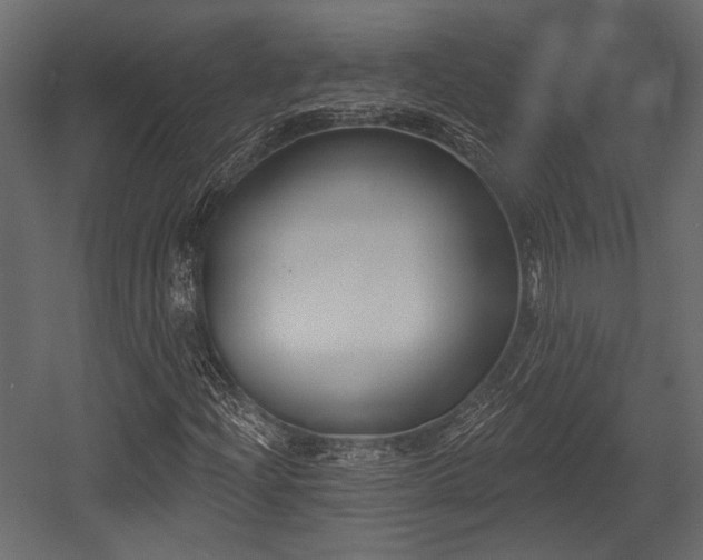 X0000054441204200508011420