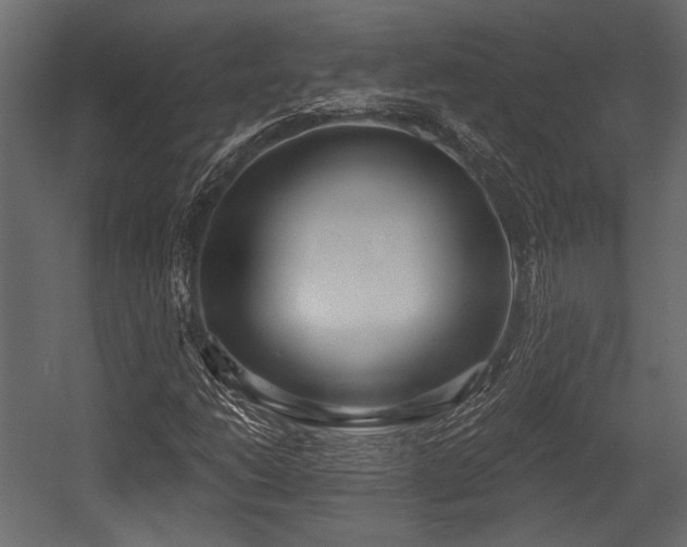 X0000054441206200508011421