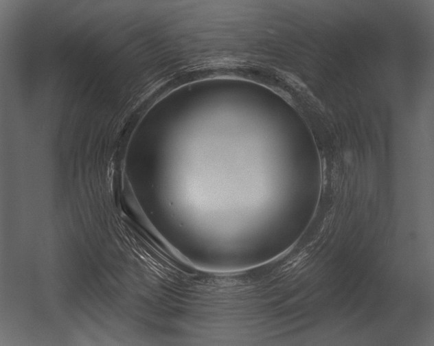X0000054441209200508011421