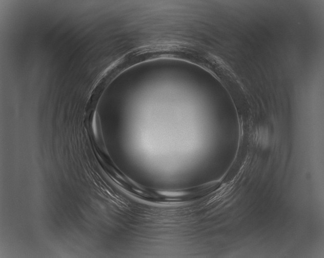 X0000054441210200508011421
