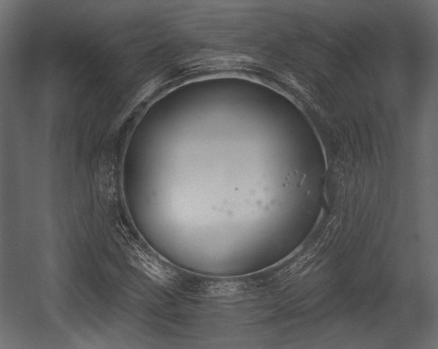 X0000054441211200508011421