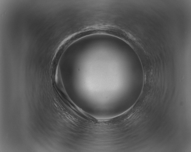 X0000054441214200508011421