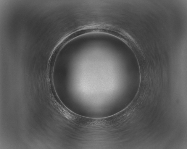 X0000054441216200508011421