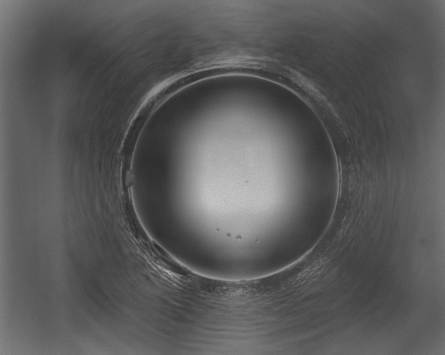 X0000054441222200508011421