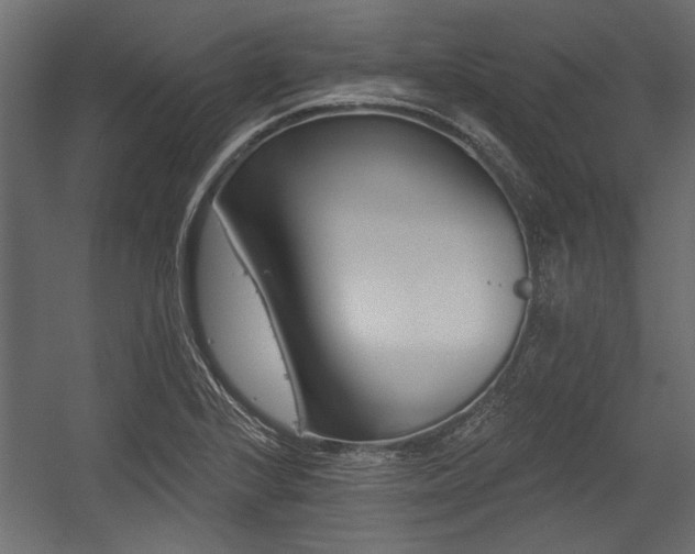 X0000054441224200508011421
