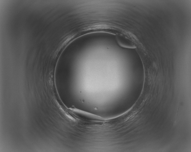 X0000054441225200508011421