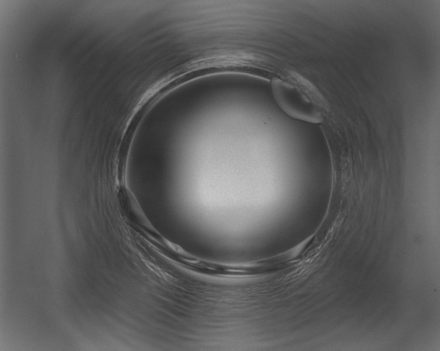X0000054441226200508011421