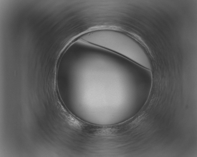 X0000054441228200508011421