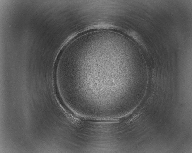 X0000054441229200508011421