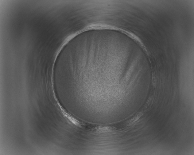 X0000054441231200508011421