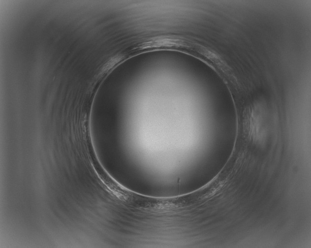X0000054441233200508011421