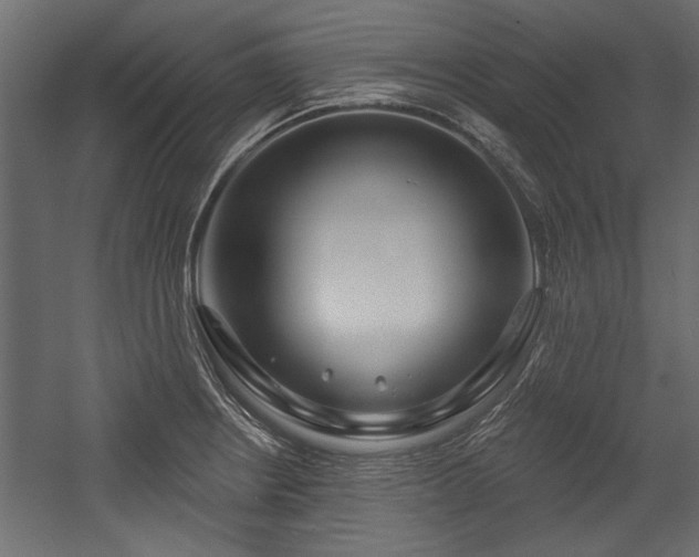 X0000054441234200508011421