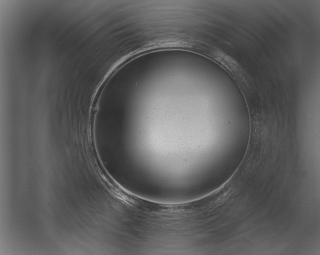 X0000054441236200508011421