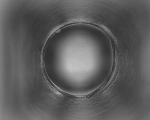 X0000054441238200508011421