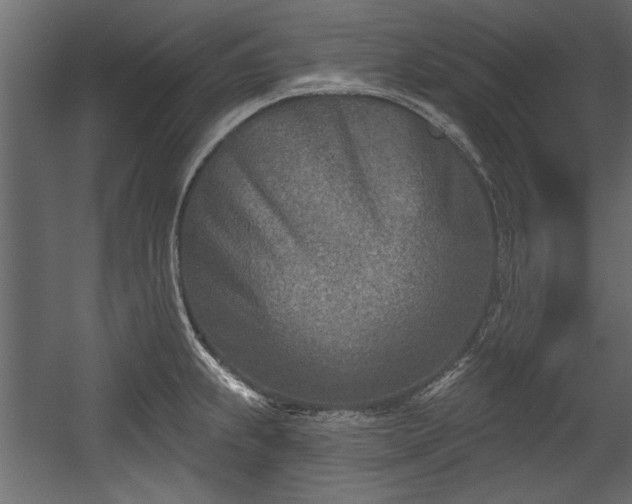 X0000054441239200508011421