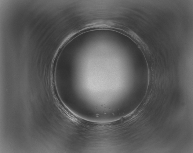 X0000054441240200508011421