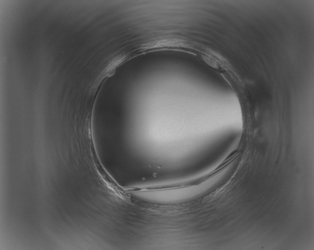X0000054441241200508011421