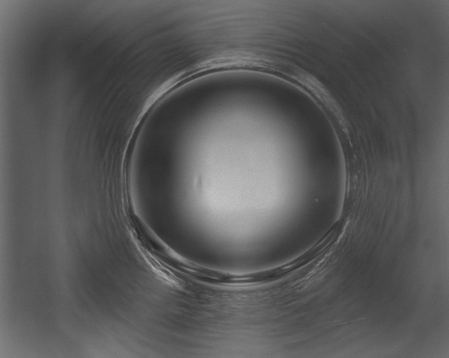 X0000054441242200508011421