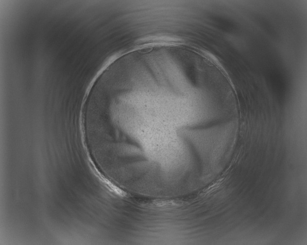 X0000054441243200508011421