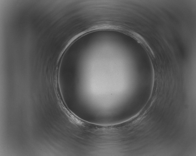X0000054441244200508011421