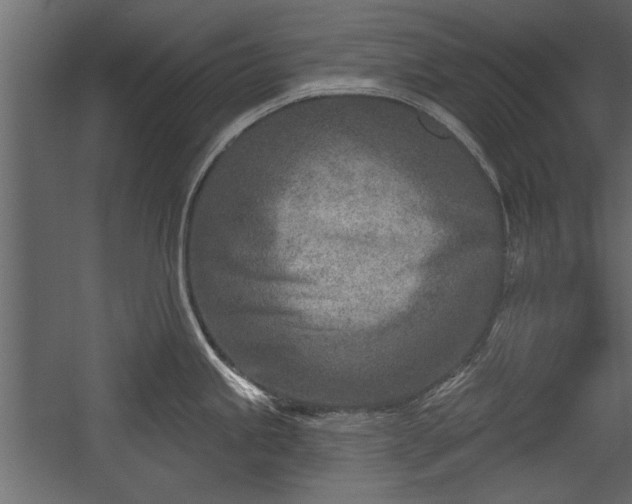 X0000054441245200508011421