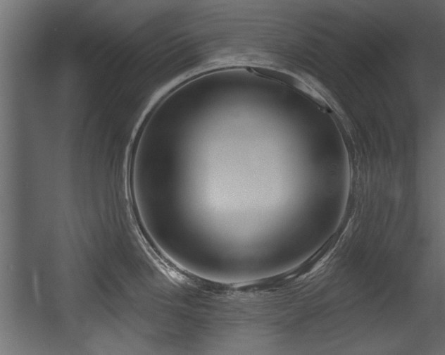 X0000054441246200508011421