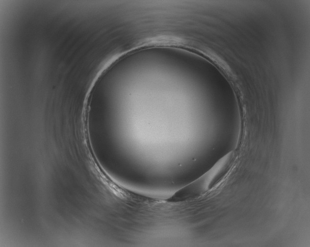 X0000054441248200508011421