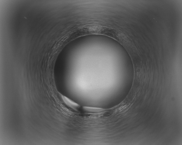 X0000054441249200508011420