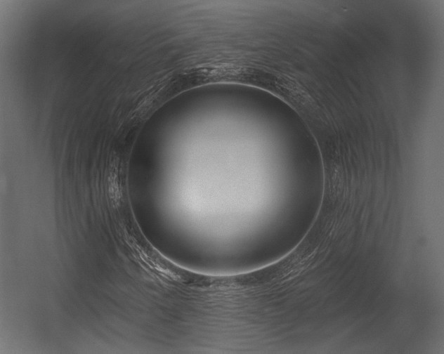 X0000054441250200508011420