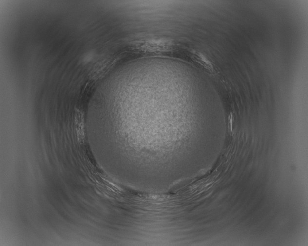 X0000054441251200508011420