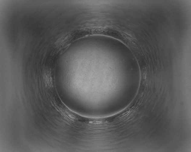 X0000054441252200508011420