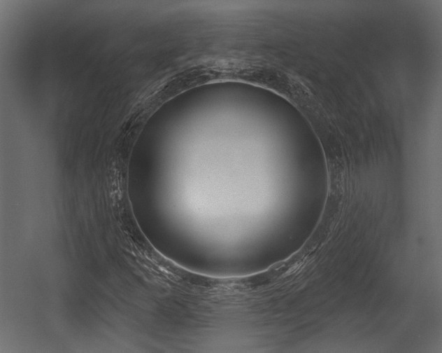 X0000054441253200508011420