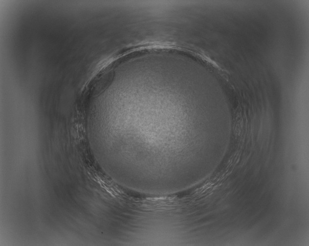 X0000054441255200508011420