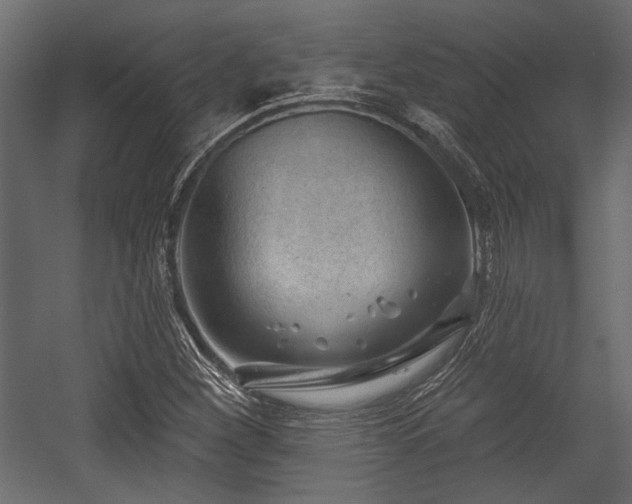 X0000054441260200508011420