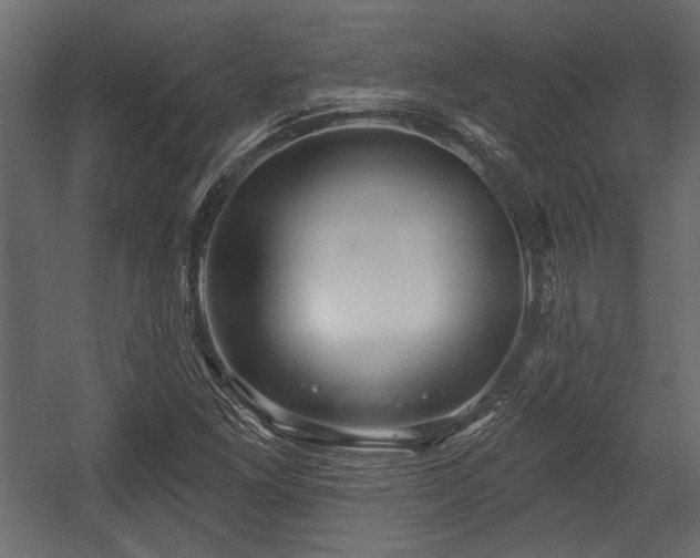 X0000054441261200508011420