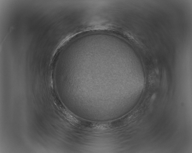 X0000054441262200508011420