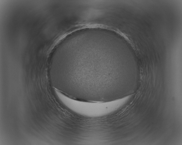 X0000054441263200508011420