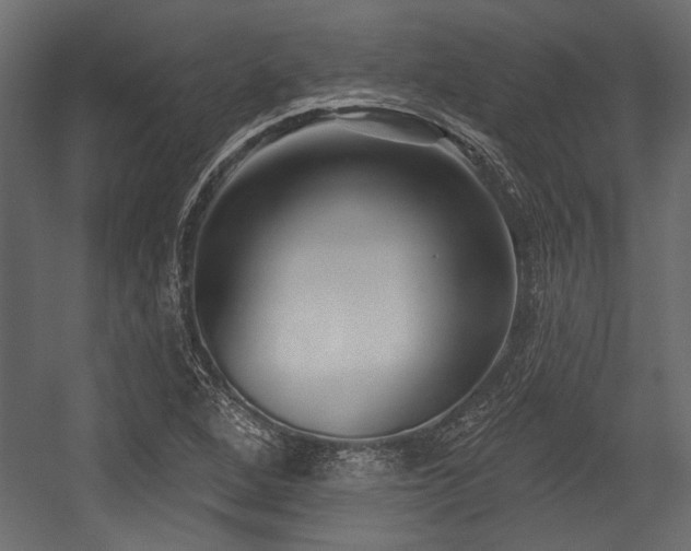 X0000054441264200508011420