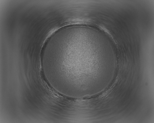 X0000054441267200508011420