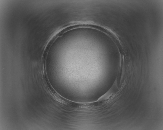 X0000054441271200508011420