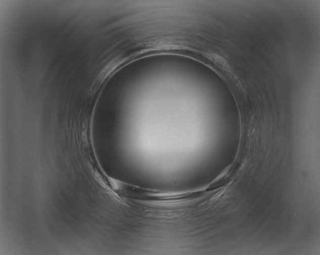 X0000054441273200508011420