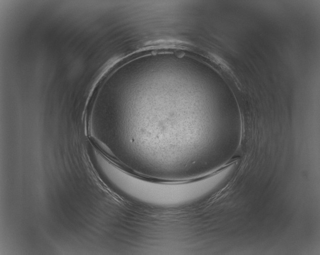 X0000054441275200508011420
