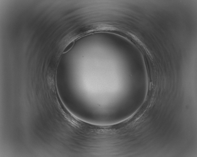X0000054441281200508011420