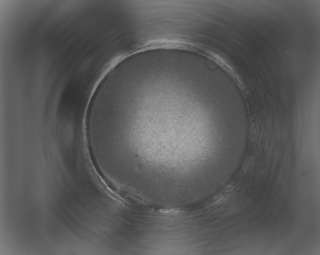 X0000054441283200508011420