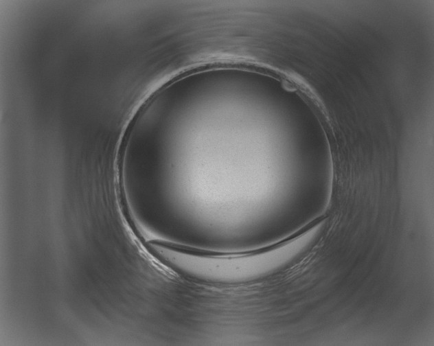 X0000054441287200508011420