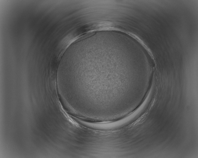 X0000054441289200508011420