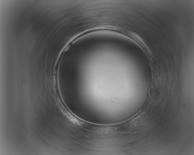 X0000054441292200508011420