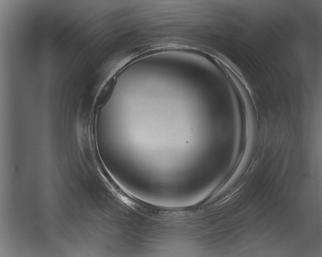 X0000054441293200508011420